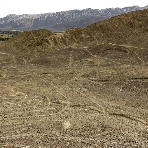nazca