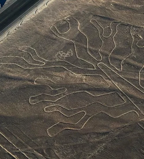 nazca1