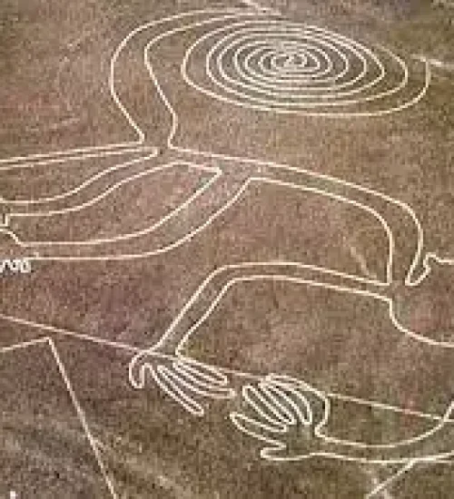 nazca5