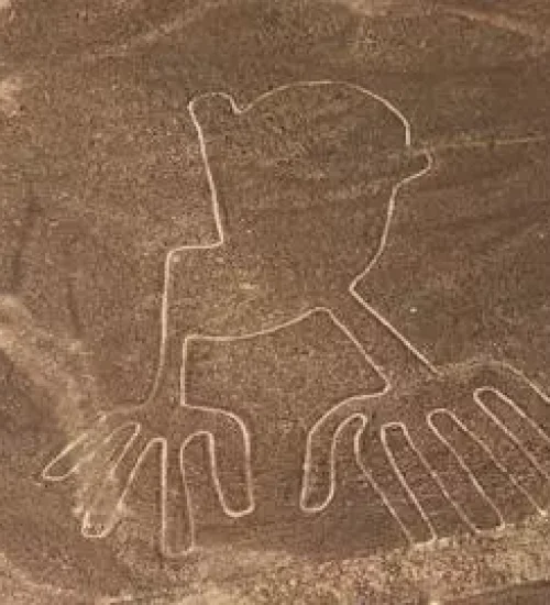 nazca6