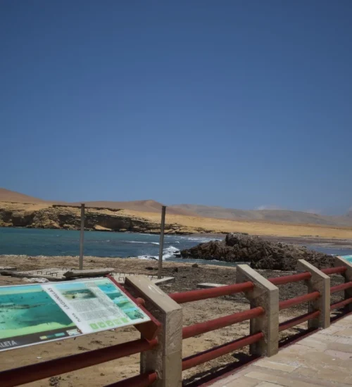 playa roja 3