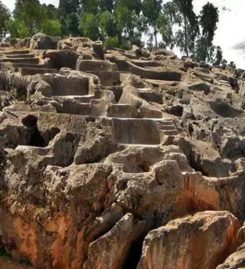 qenqo 2